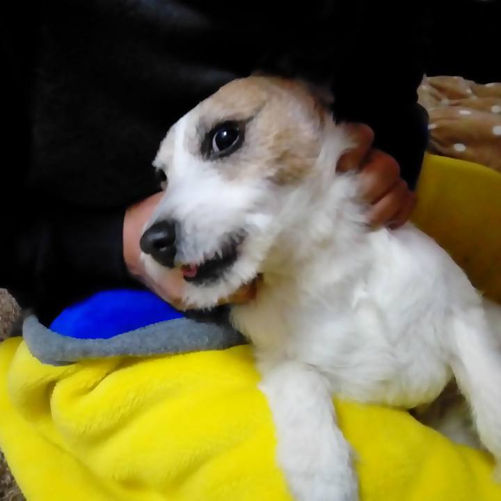 F2778bc0 21f3 483f 9262 3e549d692e6d 1516620291927