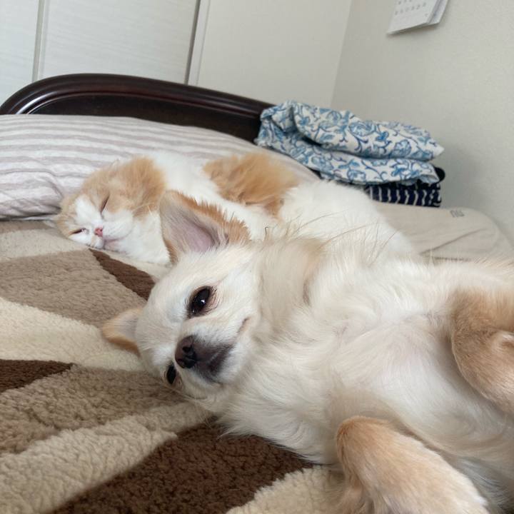 F27794ec bb83 450b 97a1 c45c4b1185e8 1619097518738