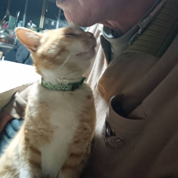 F277c3a5 9035 4f11 8443 0c77e32d100a 1584563061043