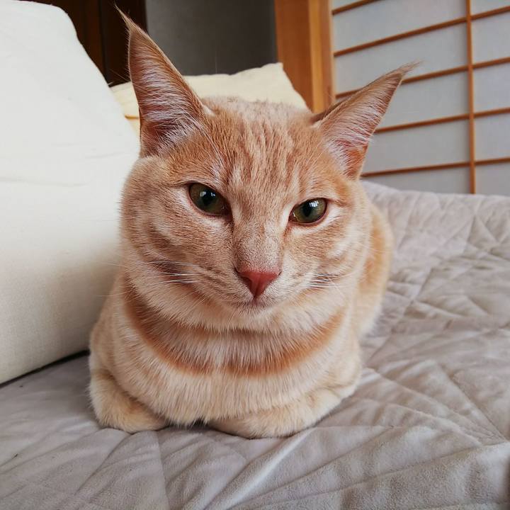 F2780380 3d61 47b2 a8cc d940e8ef9048 1553473042527