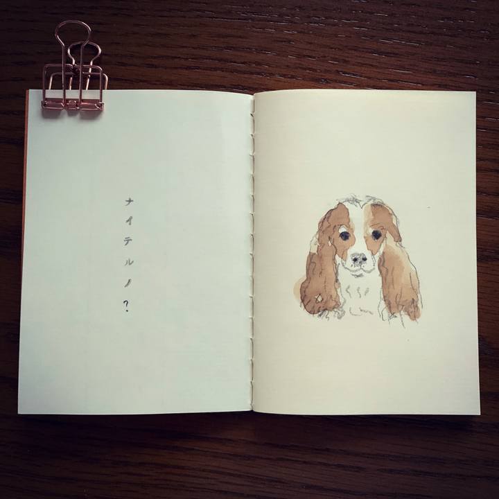 F2781376 0491 47e7 8420 252672475dc3 1625130611218