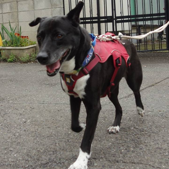 F2782b85 a48d 4708 8ad6 5b4f91afc1ea 1685494006076