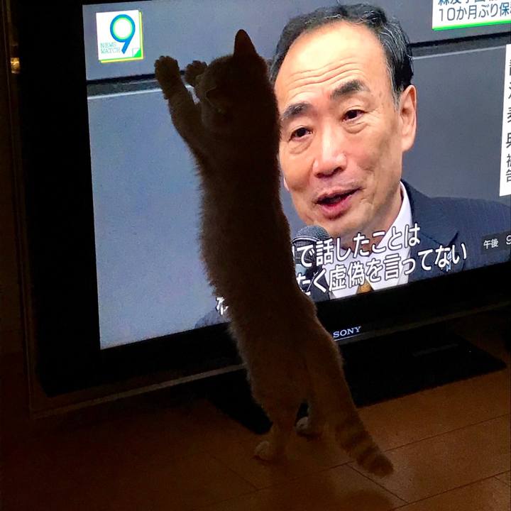 F2784500 1460 44bf 9915 15f1b989d037 1527333187050