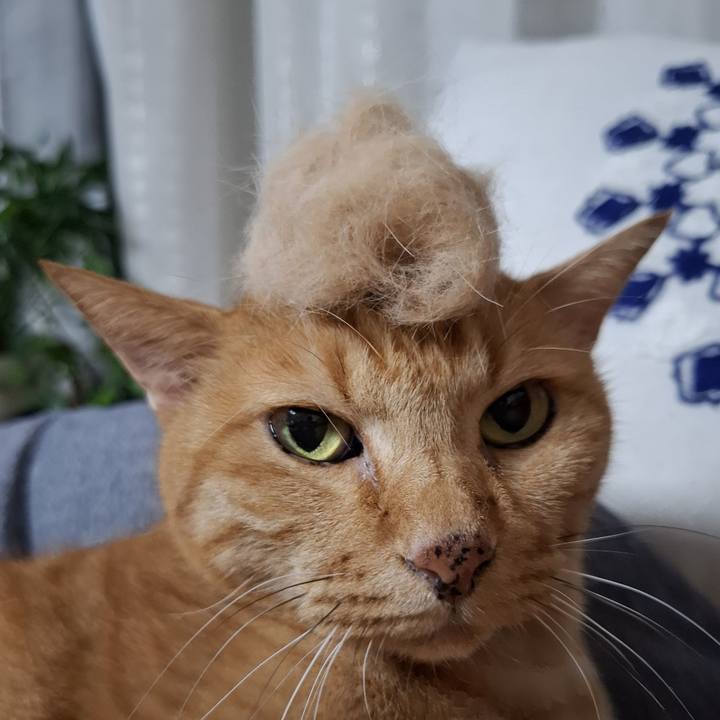 F2785eb8 1579 4247 9ae5 56731edd04d7 1760836945217