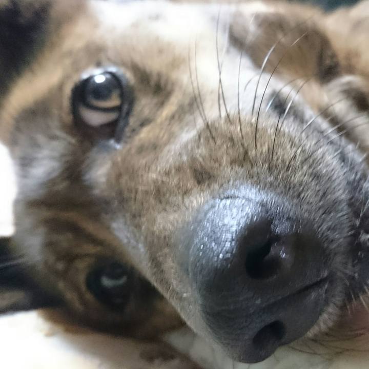 F278eb95 4dd3 4935 8524 855bcb4a7e93 1518241439840