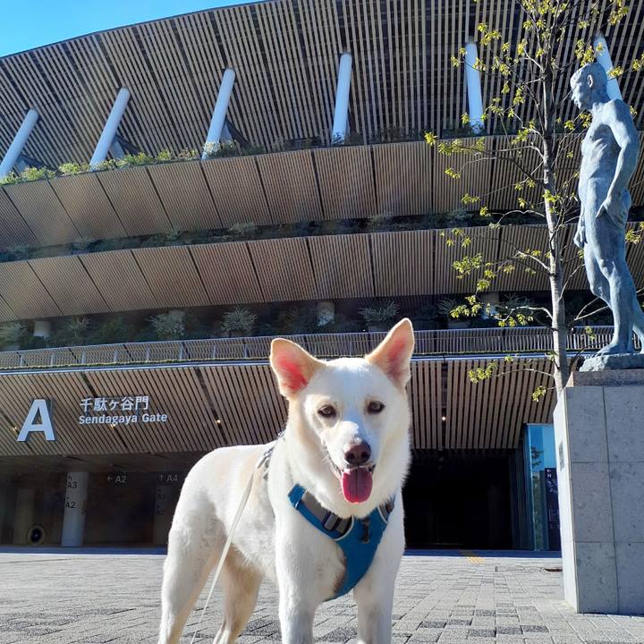 F278ee8c 7aa8 4000 94fc 87c7554a0455 1634970271715