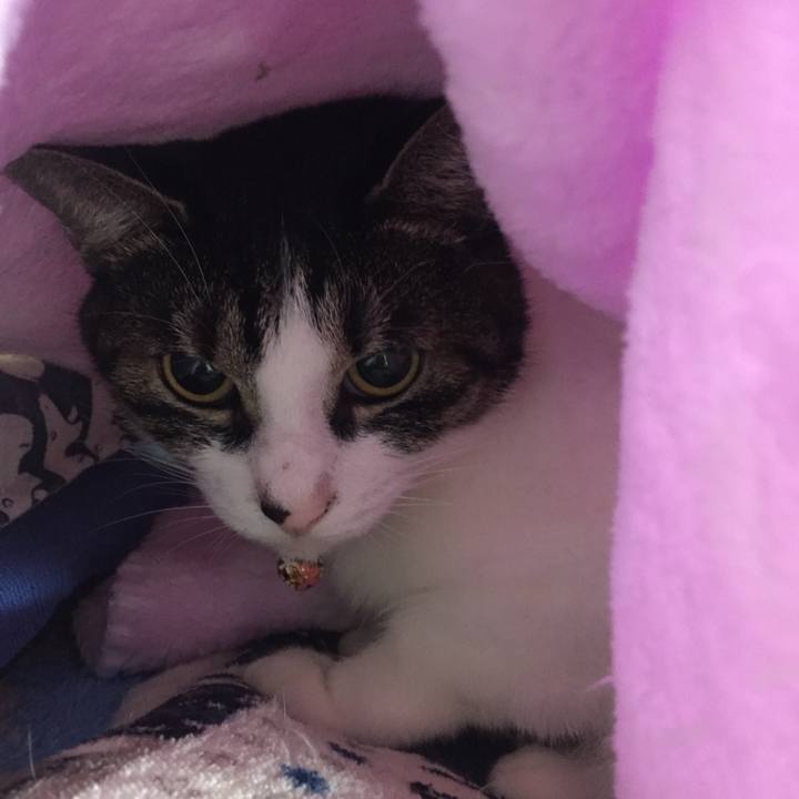 F27914d6 4d2c 43bf 9909 bc146f0404c7 1509371146813