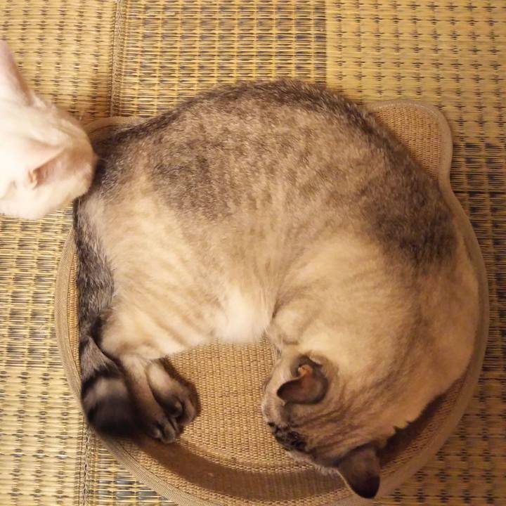 F2793714 9458 4366 87ef 6ff11dfc52fa 1531317994816