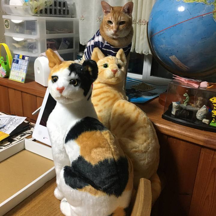 F279415f 59a3 4004 b01a 841e587318fe 1595851141015