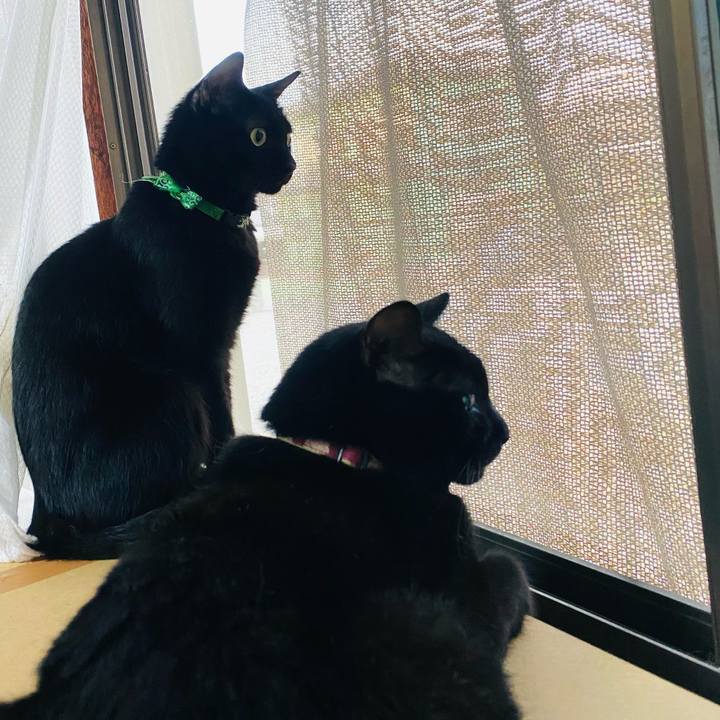 F2794855 b24c 4fc6 a5ae c7194bd17c9b 1661462453283