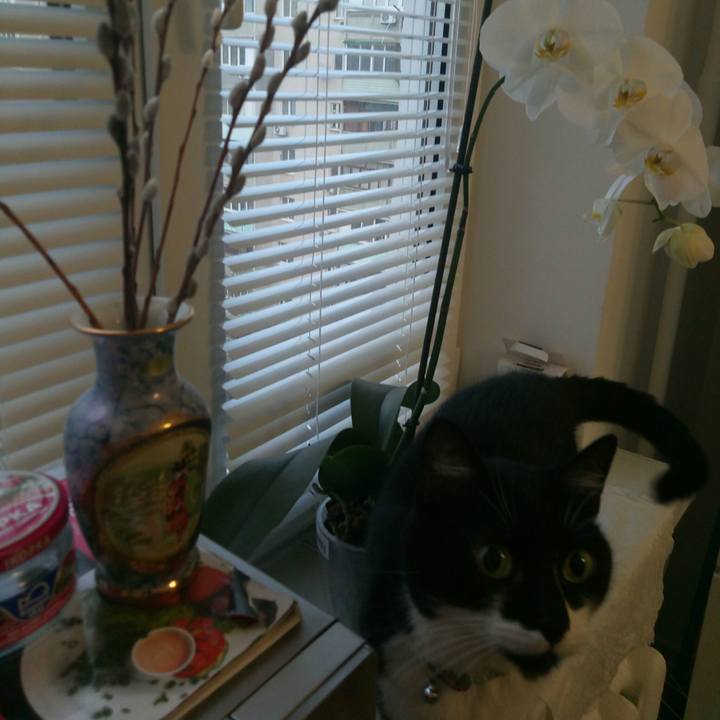 F2794953 20ef 4562 9cdd c928b5d714c4 1522683381561