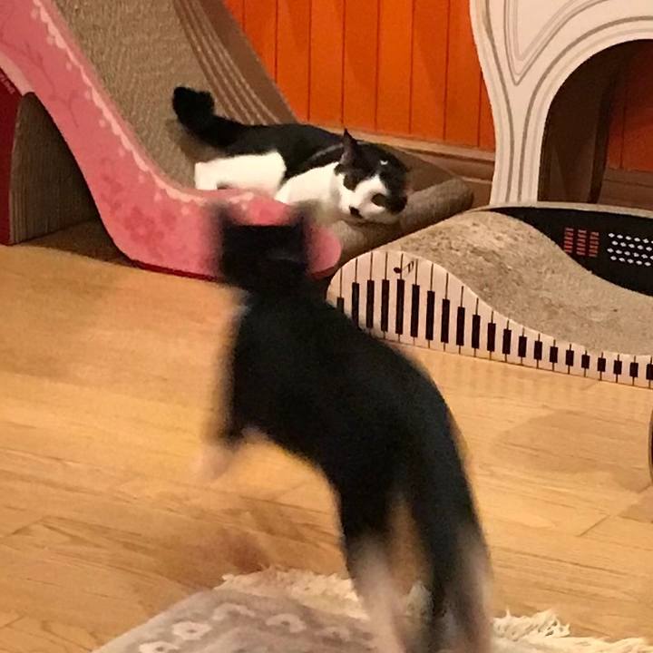 F2795d90 badc 482d b3f7 ec85cc6eb3c2 1513179909805