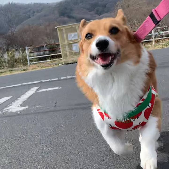 F27961ac 299b 49e6 a6db 9ff776263685 1646739957062