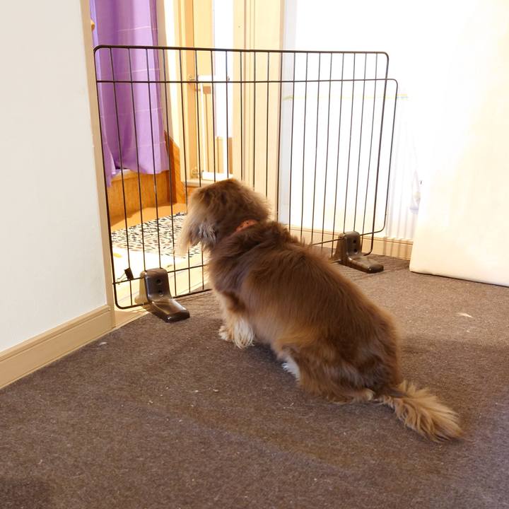 F2797023 8893 4181 816e 546ee95e4037 1610847961765