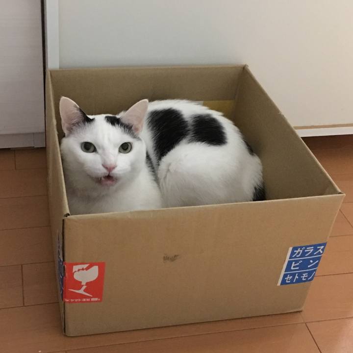 F2797741 6125 49a5 bb7a 820505e262b2 1544275780180