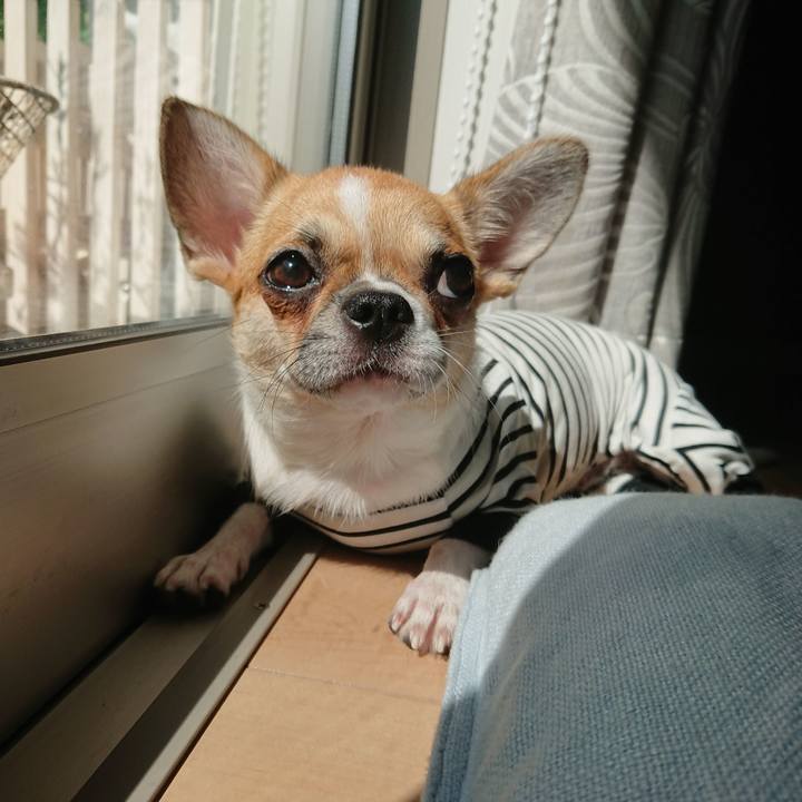 F2798e4f 64db 41fb 9bc7 e437f354c170 1536369720550