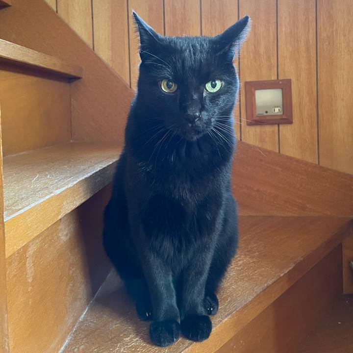 F279a74b 109f 4df7 887f 03a55a306bf5 1607911176698