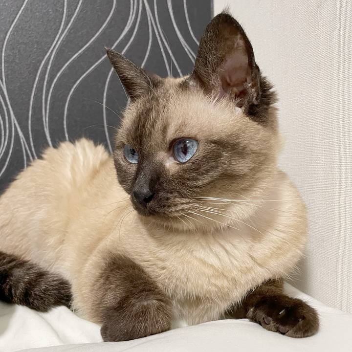 F279c8a5 509a 46bb 8300 300f86240a80 1755774380208