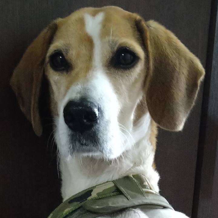 F279ee83 83b3 4730 9e30 939c35458055 1669299728854