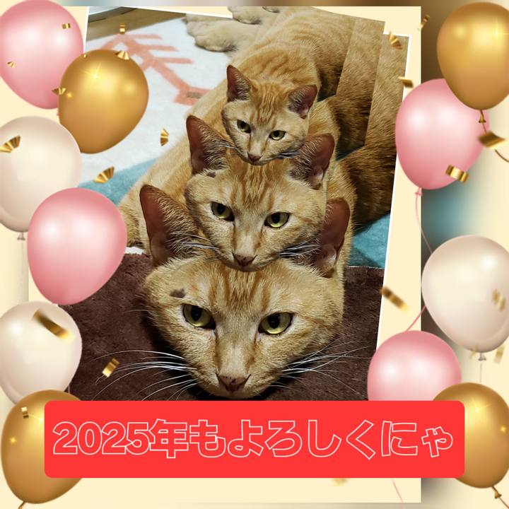 F279f42a e894 44bb 9550 2e38d7a8aa09 1735795688191