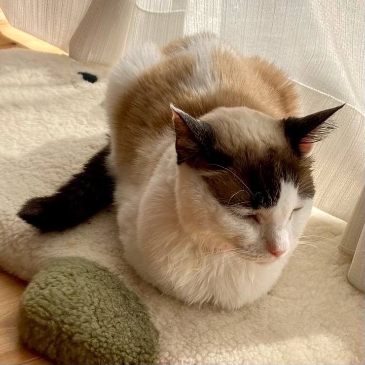 F27a0ada 3efb 435c 9c57 c46f72d658f7 1677127098288