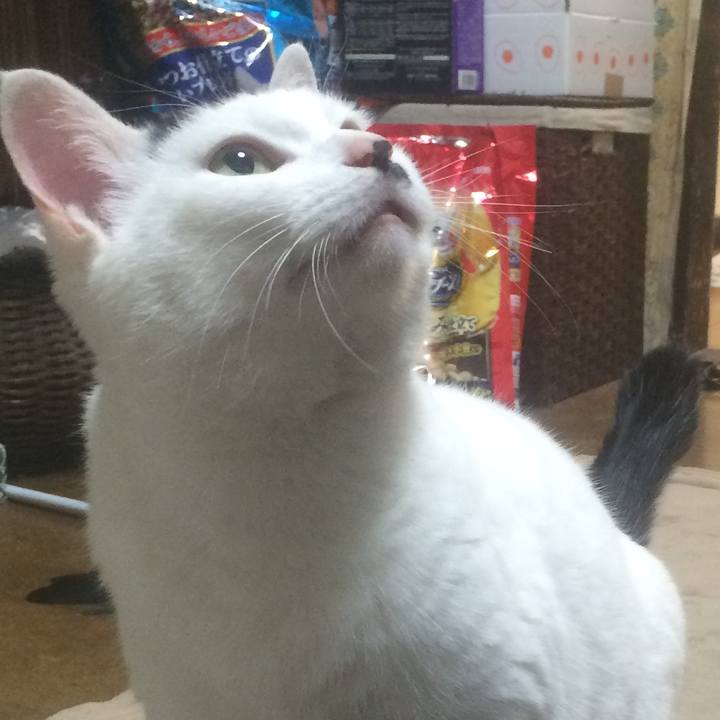 F27a2de9 7c93 4242 a895 5a1dd3d0b8a2 1542629109411