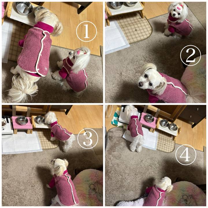 F27a40ef ffa0 4e58 9133 7a472ab1cf87 1770711917424