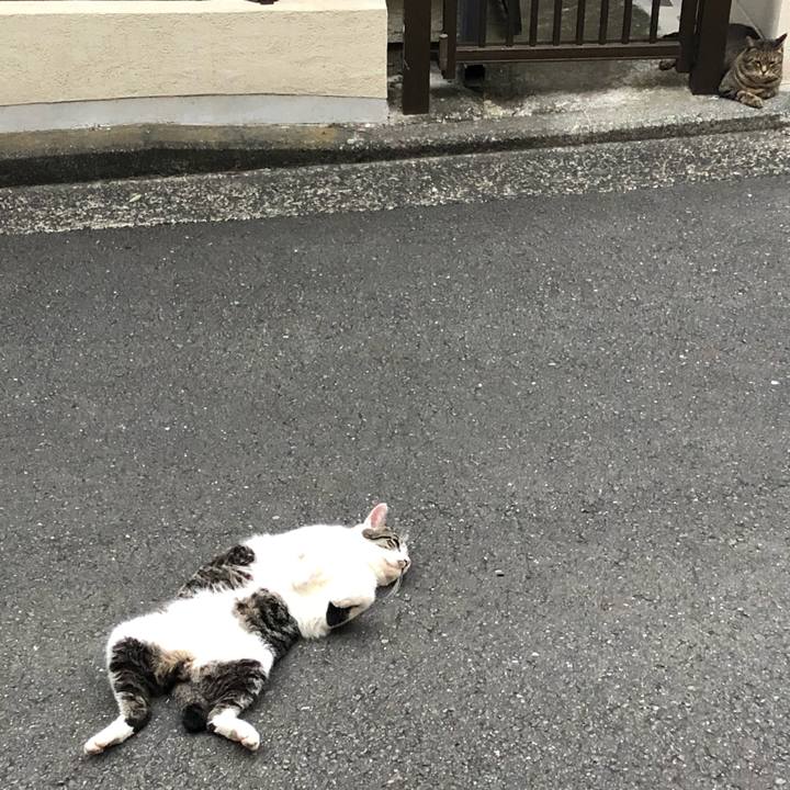 F27a48ad ea2a 47d5 8ed1 f8ea0571f1b9 1598958557554