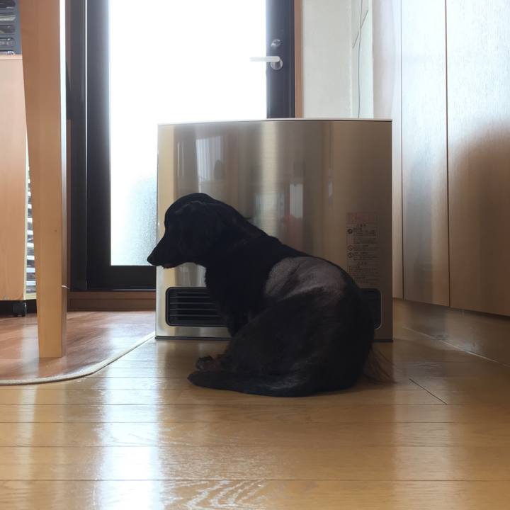 F27a4989 0b74 4f65 92ca e12cf5af4f7a 1547158809176