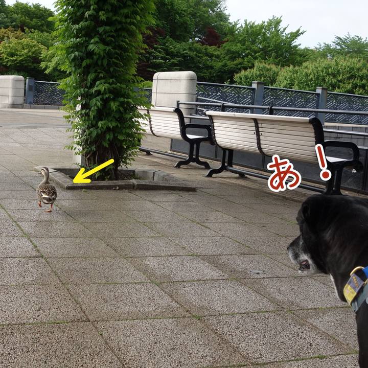 F27a53b2 1fb7 49d3 b565 0b397d0853e0 1746664597994