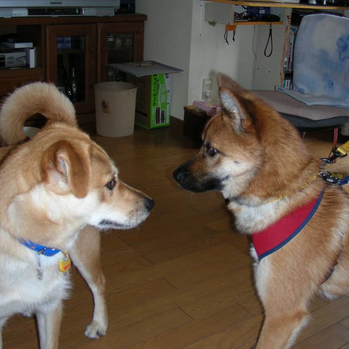 F27a6e8d 592c 4813 8183 ec4f9a67f61e 1533528389502