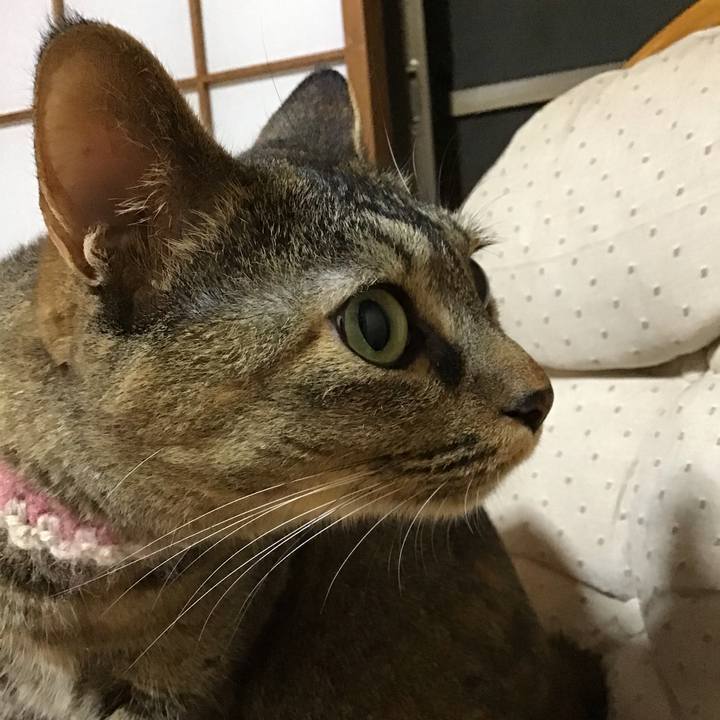 F27aeb52 b77e 489c 8337 d5e69683f8d0 1659613849832