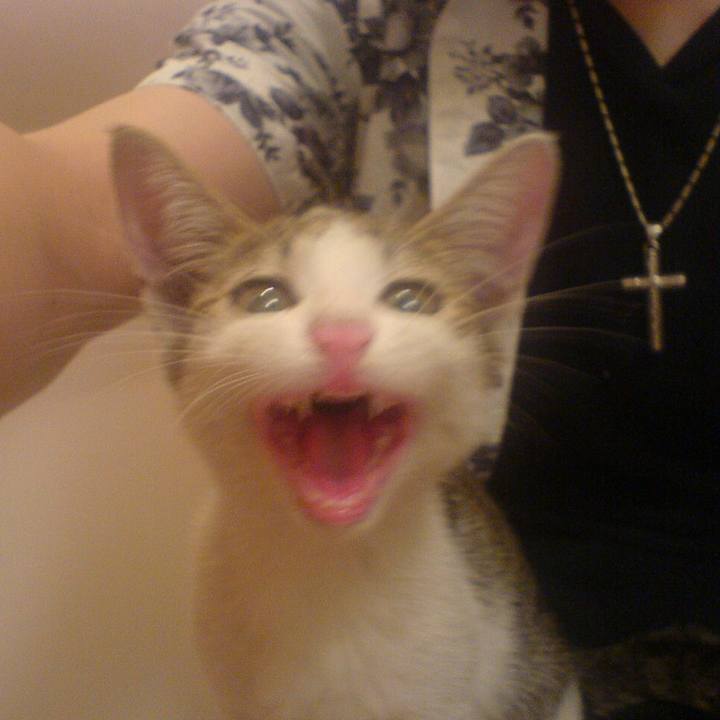 F27af8df e489 4c53 852d 4b4809ab2ab5 1661827558844