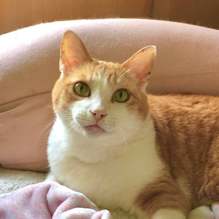 F27b1a1c 5498 4f21 8978 2e5d5af08218 1623652671588