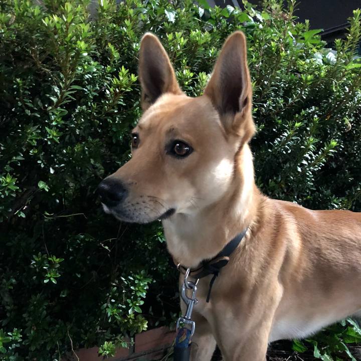 F27b2676 c84e 498d 9bb4 40136adbf193 1541858428153