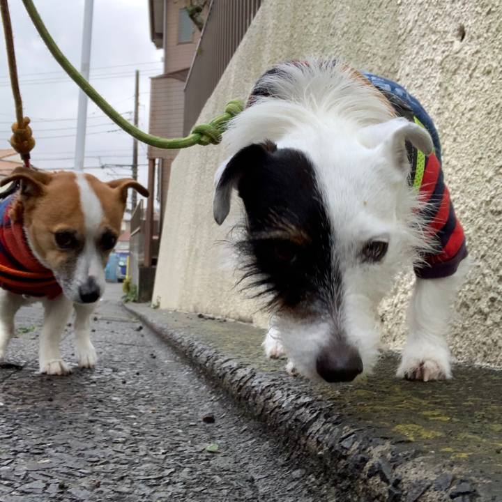 F27b2ab7 5095 436e b27f 1a914eed6227 1551687833934