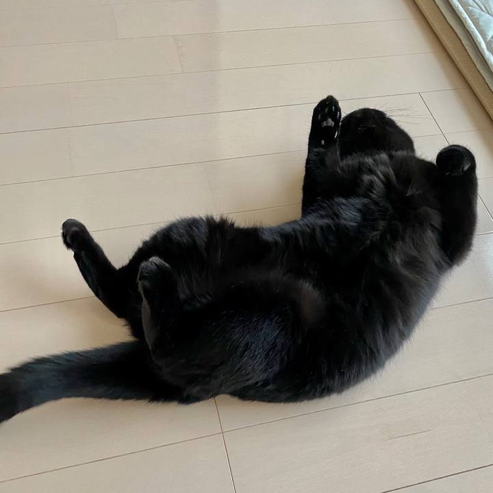 F27b31a3 a81b 4e36 8c6e 034a8b3c5d2e 1603158079934