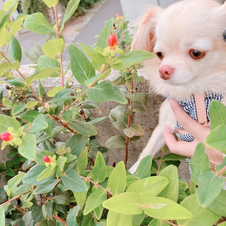 F27b6d52 ca4c 4d89 a321 7a2550abe6bb 1663235040902