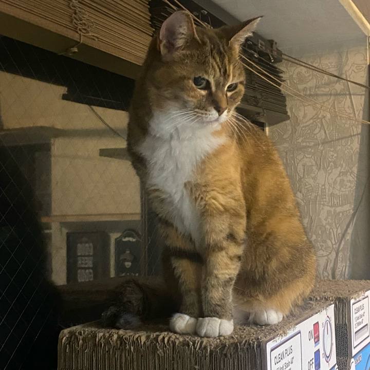 F27b7333 4550 4421 b830 dabeaf16fa56 1717944647244