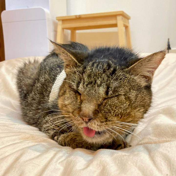 F27b7787 2531 4cab 8f46 4c283b5152e6 1688130872390