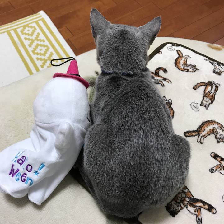 F27b8d1d 6d26 4807 b6cf 9972fbbfb570 1509621468338