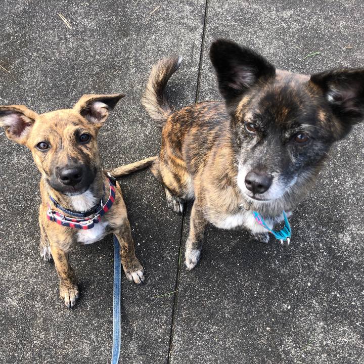 F27bac37 93db 4497 80df fca1eb285160 1569507807996