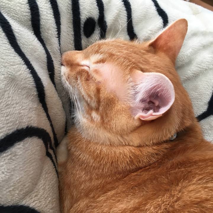 F27bbeae 1cdb 4dc0 afb3 90e3d582743b 1547344520122