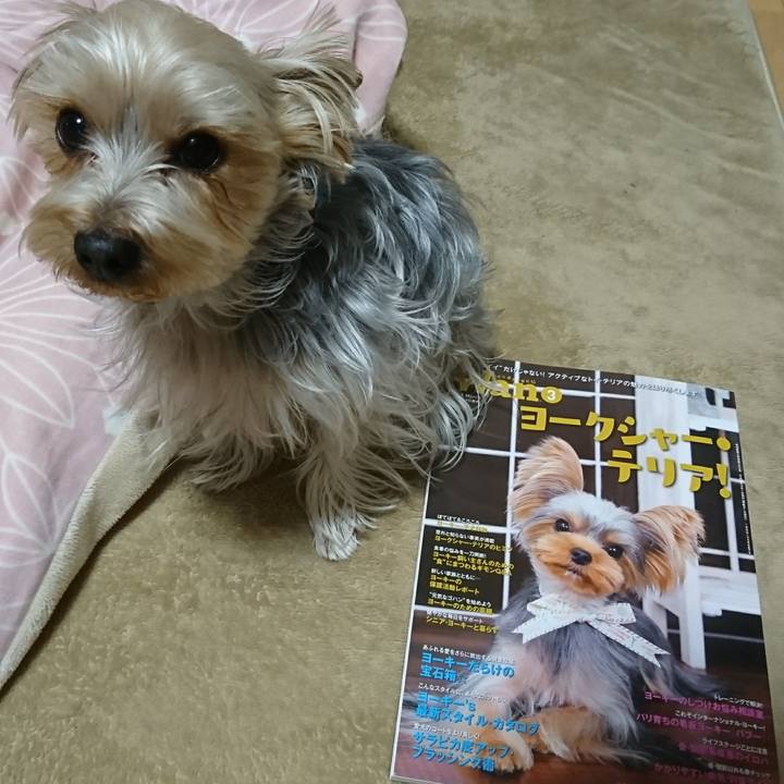 F27c3498 374b 4190 b32b 80c41a022245 1518953527098