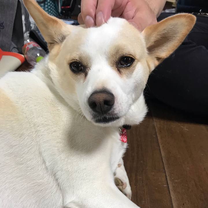 F27c5218 453f 4fcd b0f2 429bd72001e3 1600601538539