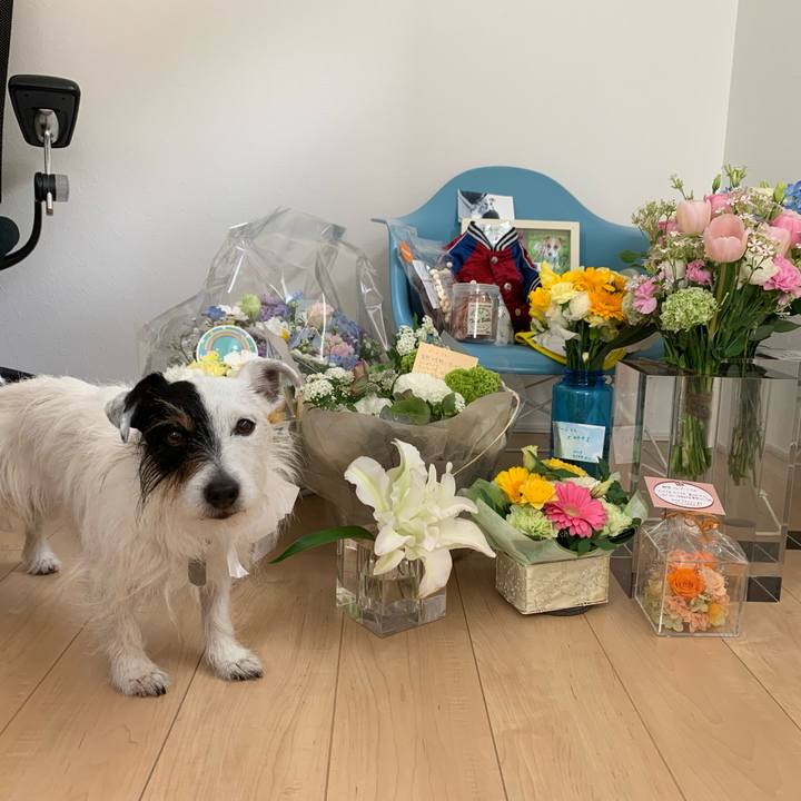 F27c6c4c 8f55 4d94 94cc 2cc518034f15 1648350790573