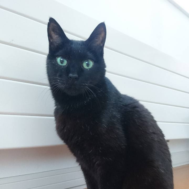 F27c9941 c7be 4368 bc30 005c92667a92 1519291662147