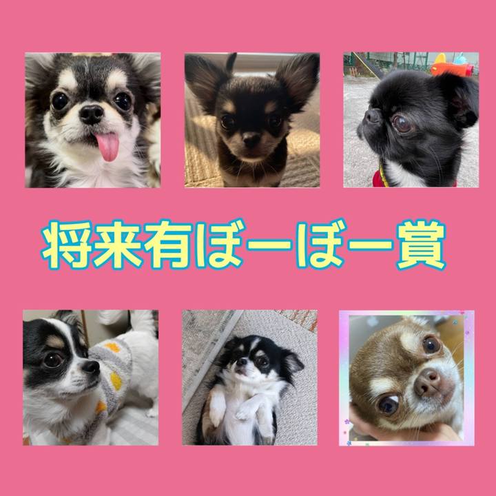 F27ca9fa 7195 4444 98d8 1b9334fa808f 1676770596539