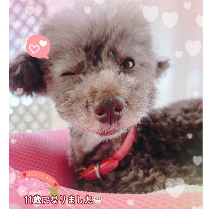 F27cbb50 e524 41bb 9d00 652b83098c2a 1679544305942