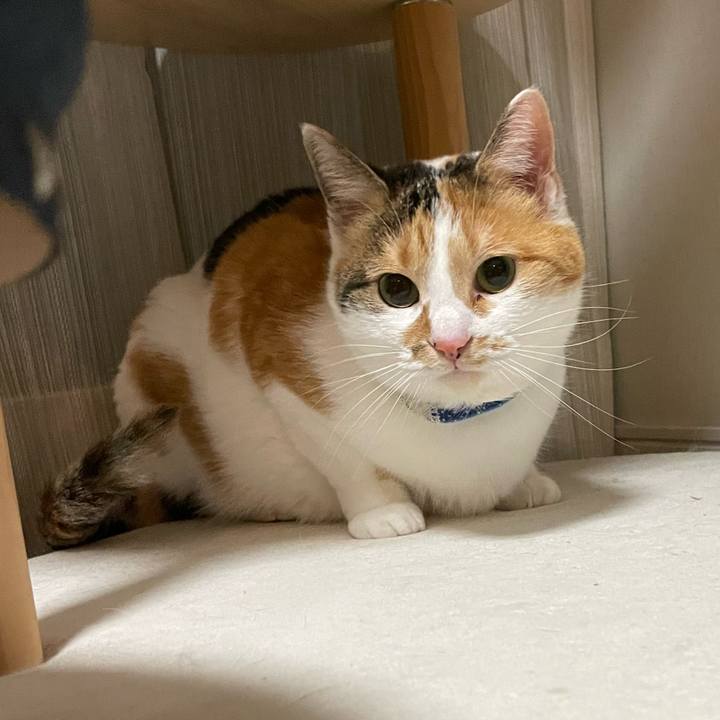 F27cc6b2 f03f 472e ad3b 23e5a09ab3f1 1707399203944